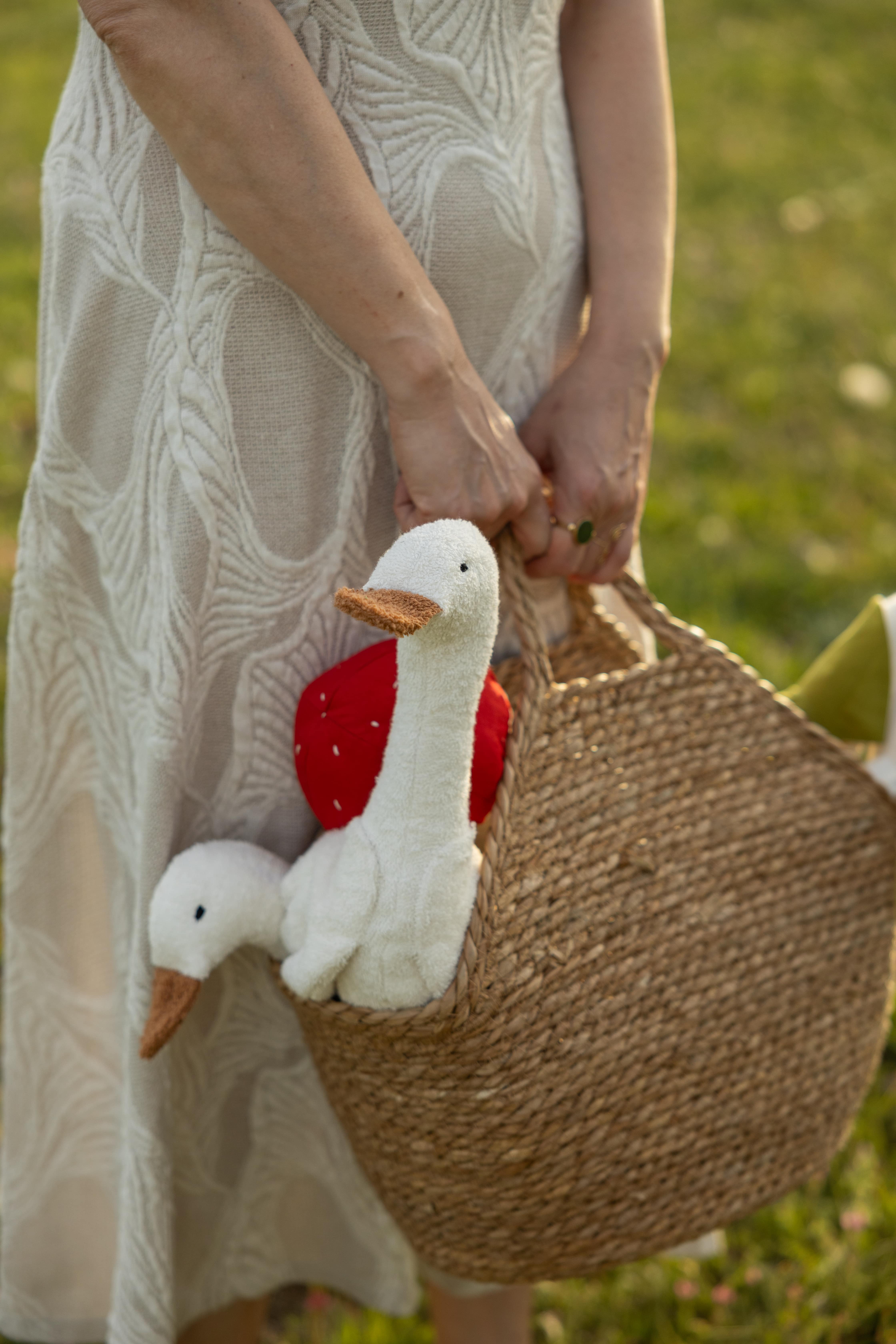 White duck with a hat