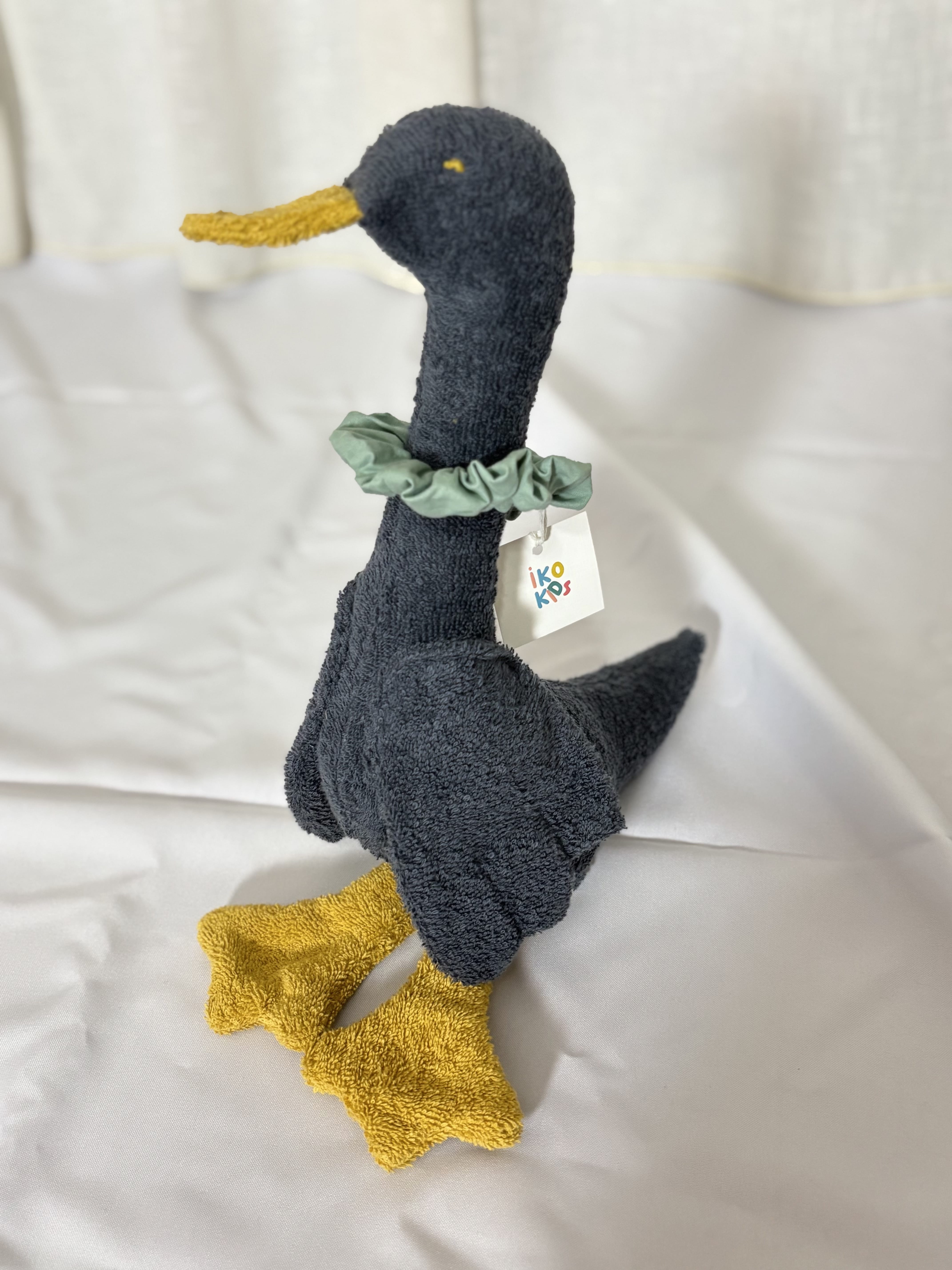 Gray duck with a collar