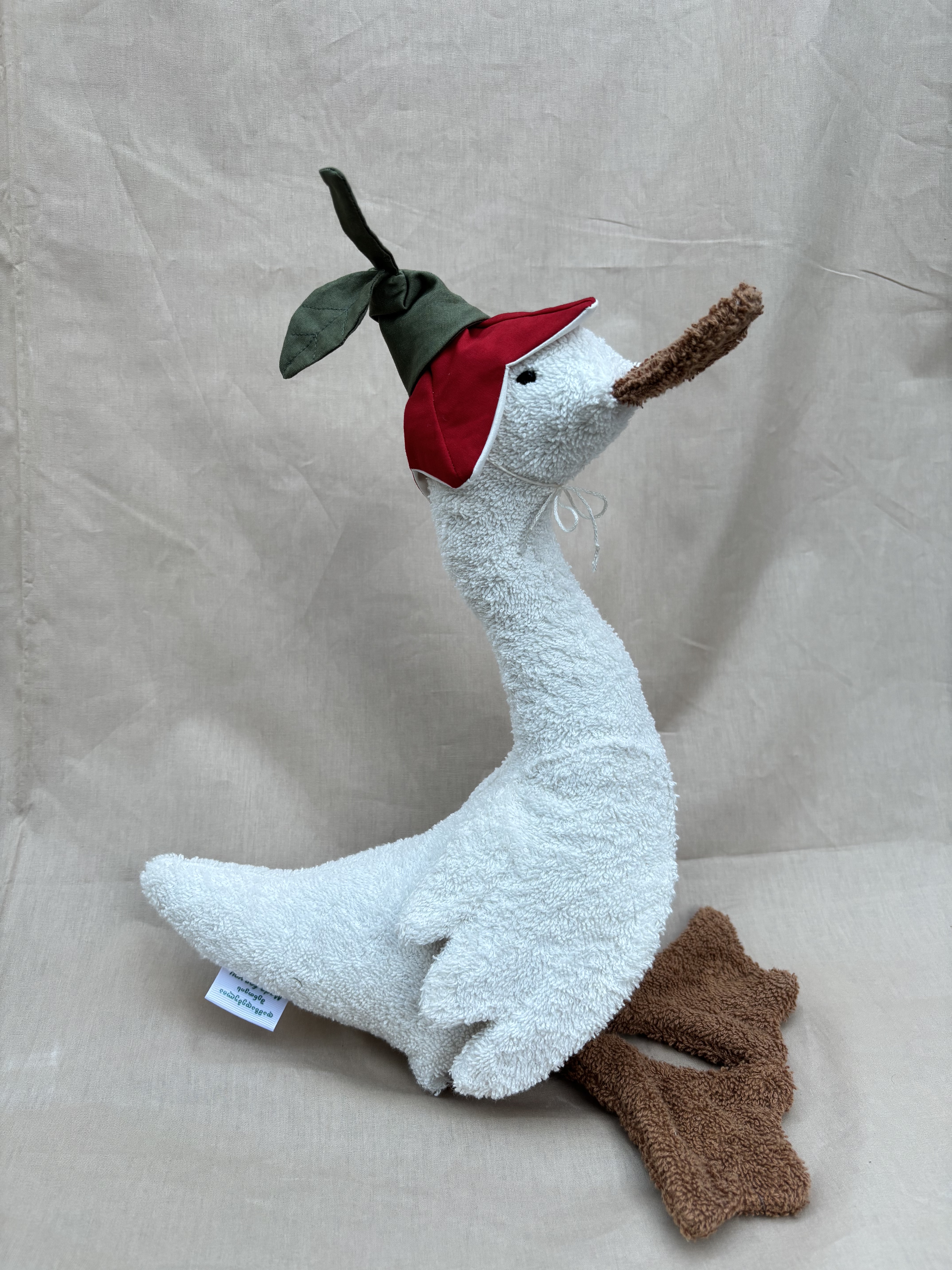 თეთრი იხვი წითელი ქუდით